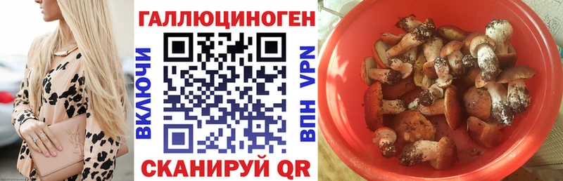 Псилоцибиновые грибы MAGIC MUSHROOMS Качканар