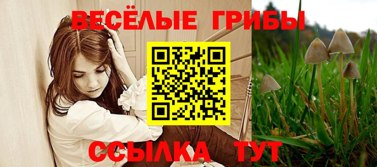 Качканар  купить   Псилоцибиновые грибы MAGIC MUSHROOMS  Вход с VPN  Галлюциногенные грибы мицелий 